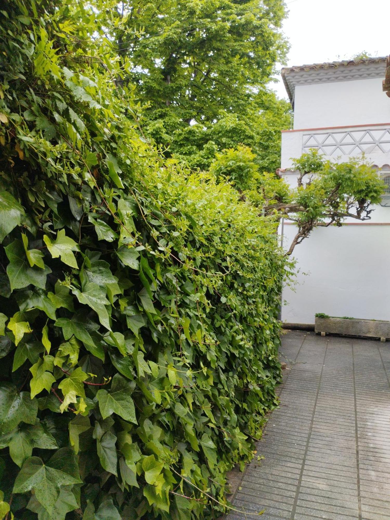 Casa Centrica En Gironaヴィラ エクステリア 写真